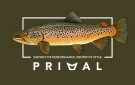 Primal Artist Tee Brown Trout thumbnail